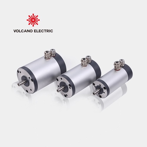 低壓無刷電機(24V-48V-110V)